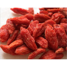 Nêsia Orgânica Ningxia Goji Berries